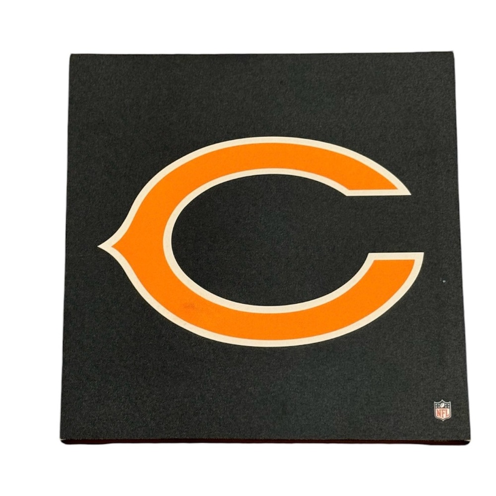 NFL Chicago Bears Canvas Print Art Blue Orange Football Boys Room Decor Man Cave